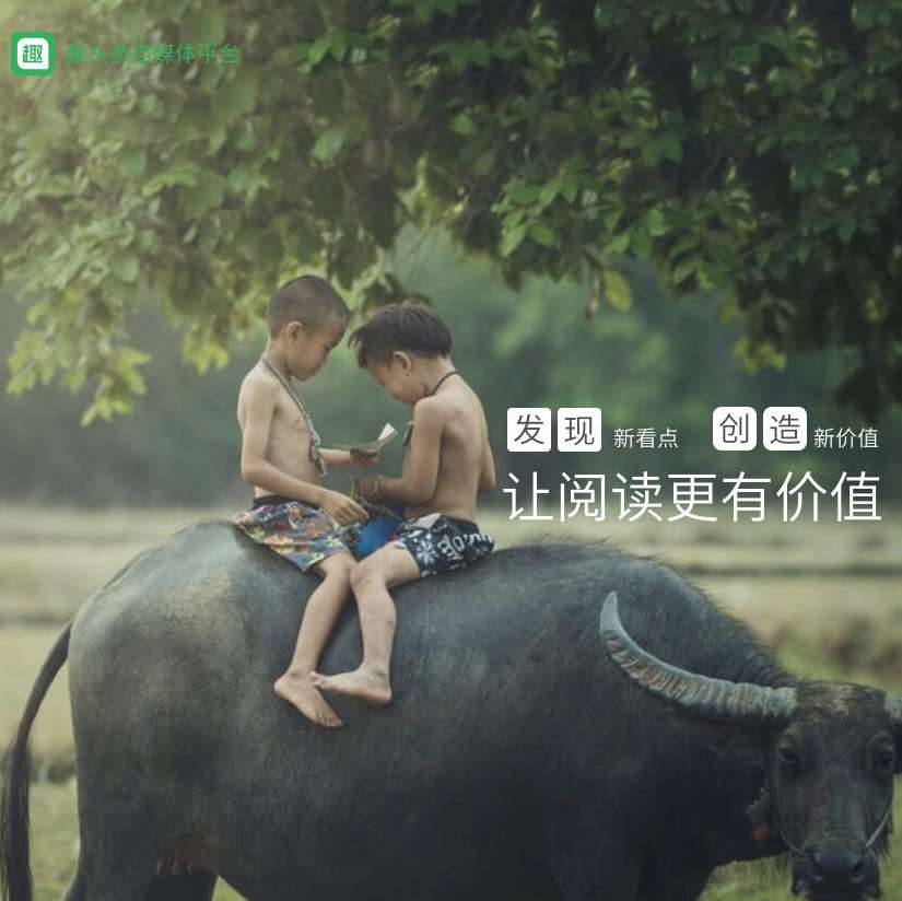 趣头条自媒体平台