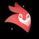 VideoLeap